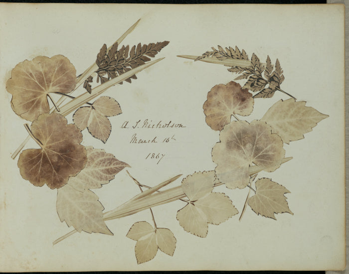 John Wheeley Gough Gutch:[Wreath of leaves and branches],16x12