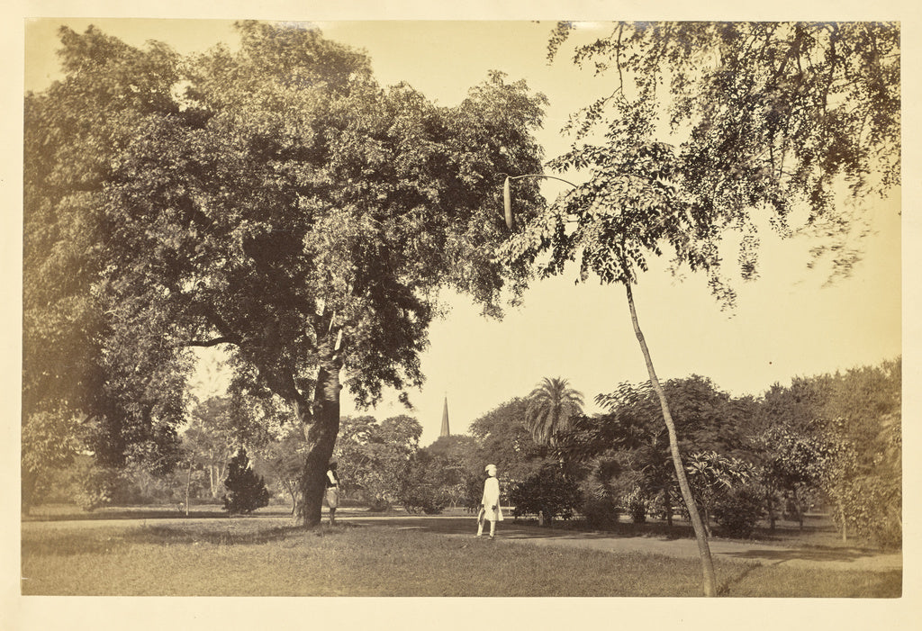 Unknown:[Wingfield Park, with Church Spire in the Background,16x12"(A3)Poster