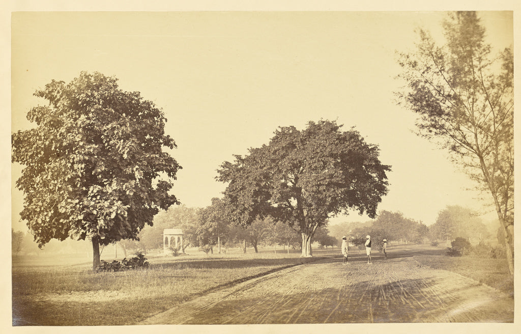 Unknown:[Park with a Small Pavilion and Unpaved Road, India], Poster Print Wall Art