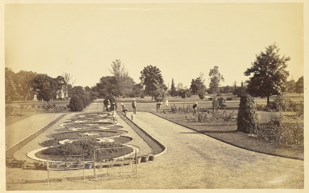 Unknown:[Flower Bed in front of the Baradari in Wingfield Pa, Poster Print Wall Art