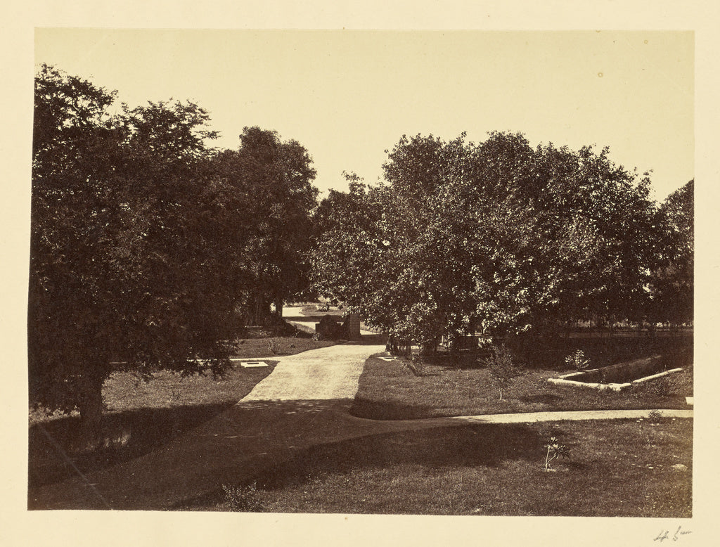 Unknown:[Park with Unpaved Pathways, India], Poster Print Wall Art