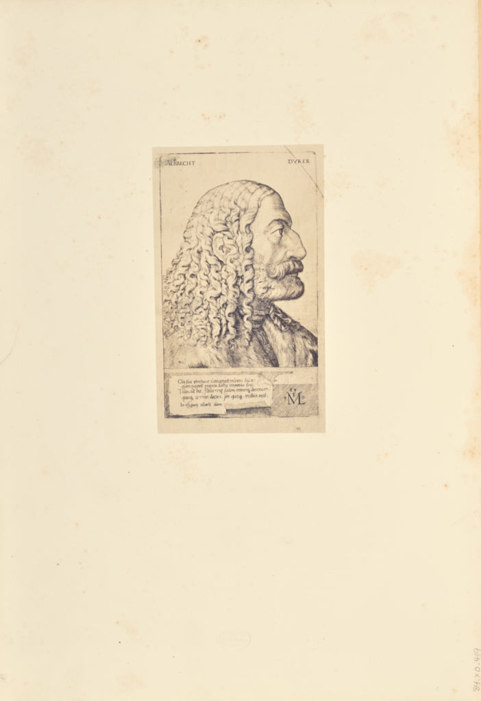 Bisson Frères:[Portrait of Albrecht Dürer], Poster Print Wall Art
