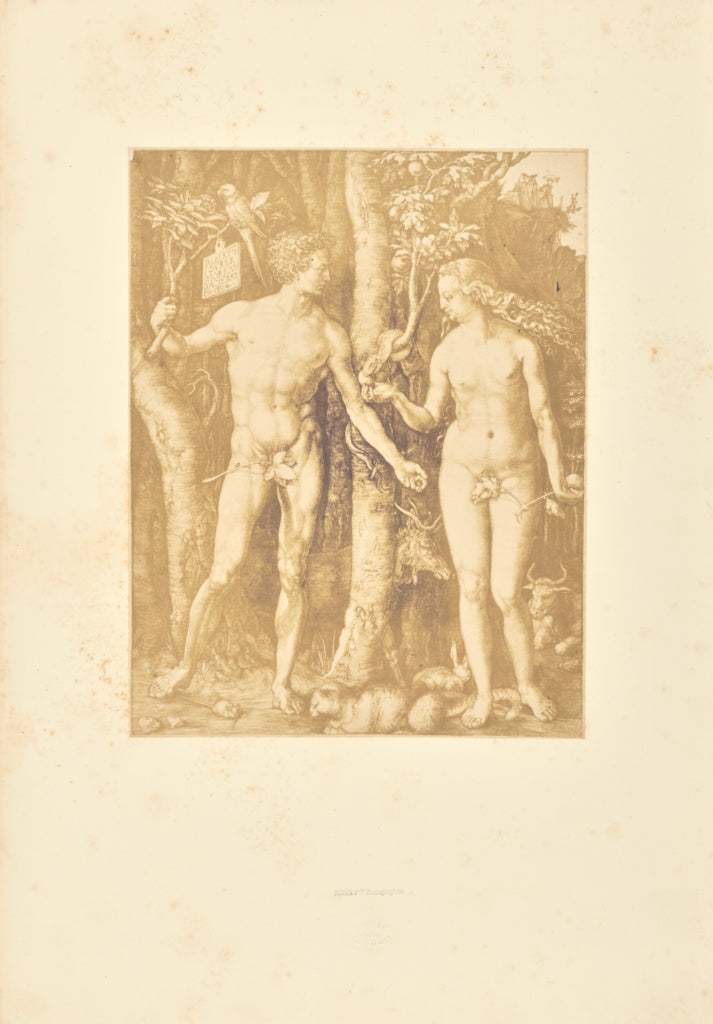 Bisson Frères:Adam et Ève, Poster Print Wall Art