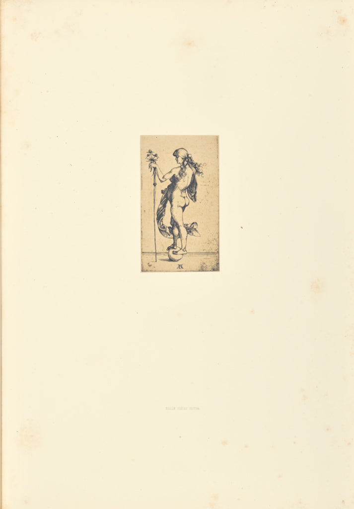 Bisson Frères:La Petit fortune, Poster Print Wall Art