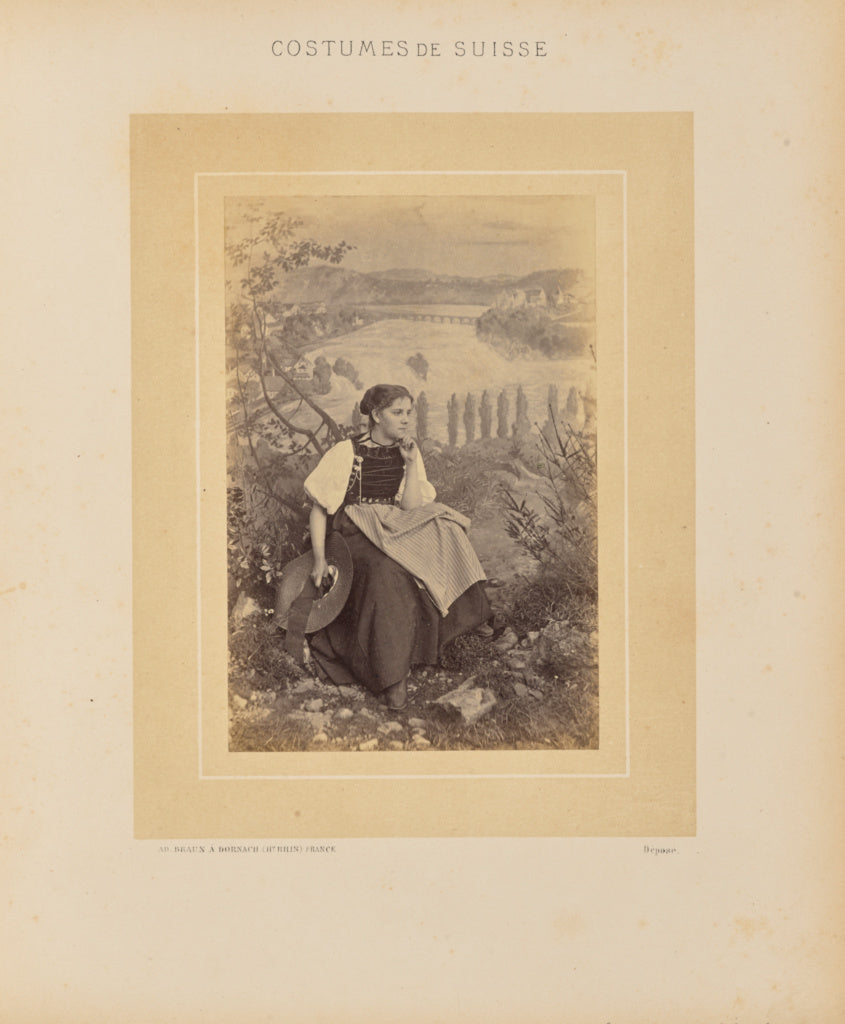 Adolphe Braun:Canton de Schaffhouse, Poster Print Wall Art
