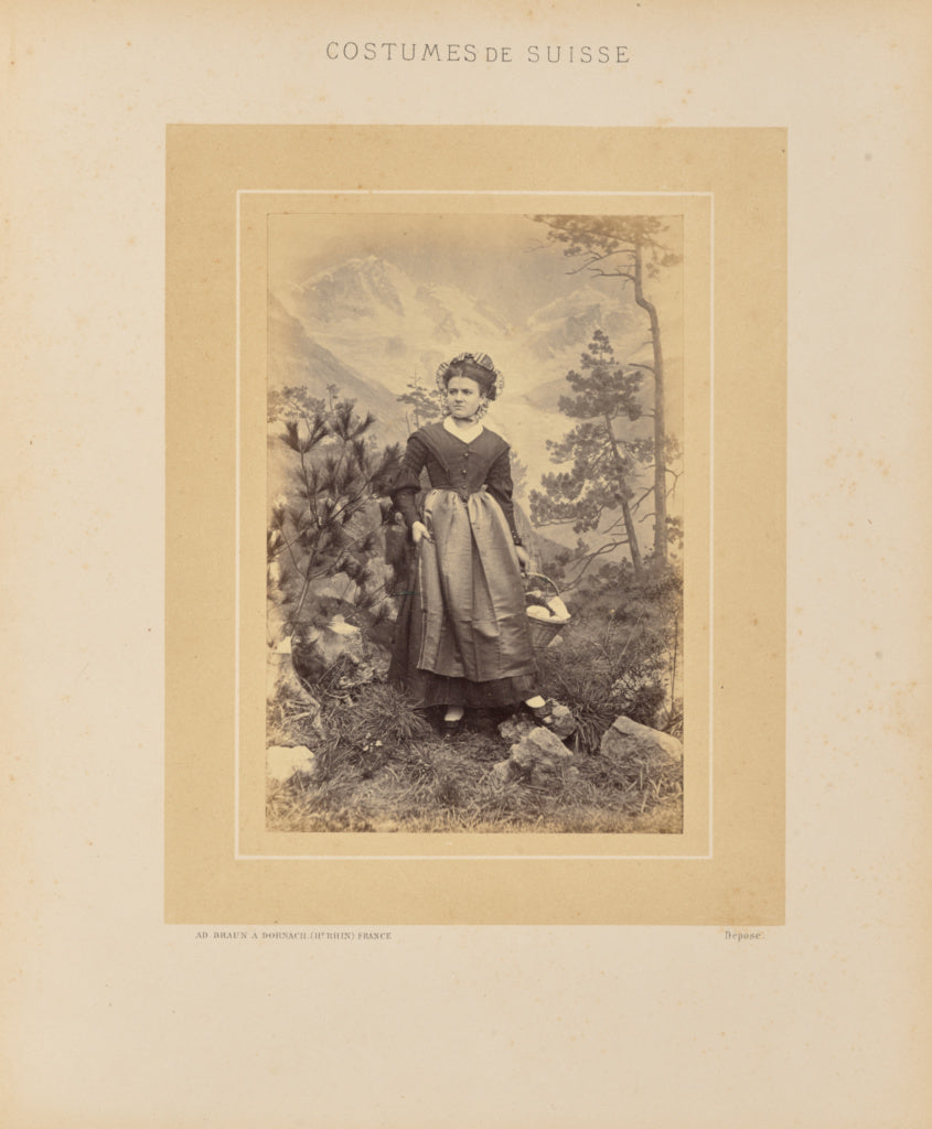 Adolphe Braun:Canton des Grisons, Poster Print Wall Art