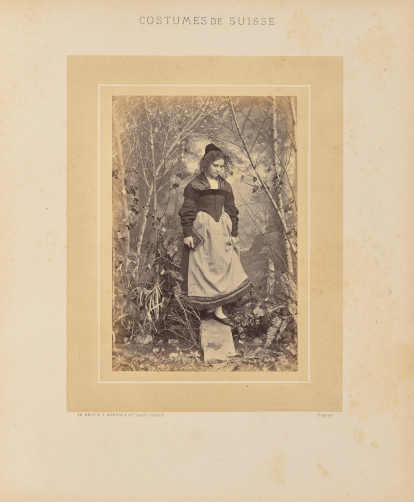 Adolphe Braun:Canton de Berne, Simmenthal, Poster Print Wall Art