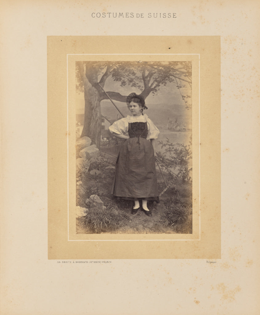 Adolphe Braun:Canton de Zoug, Poster Print Wall Art