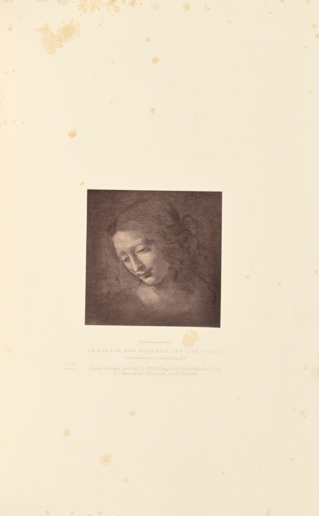 Caldesi & Montecchi:La Vierge aux Rocheres, by L. da Vinci,16x12