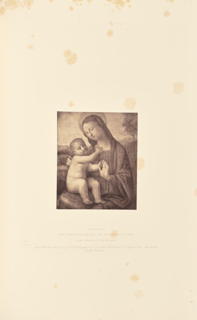 Caldesi & Montecchi:The Virgin and Child, by Filippino Lippi,16x12