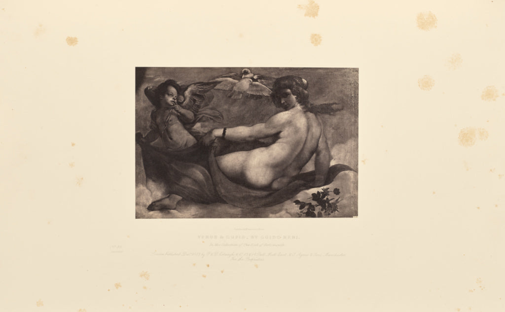 Caldesi & Montecchi:Venus and Cupid, by Guido Reni, Poster Print Wall Art