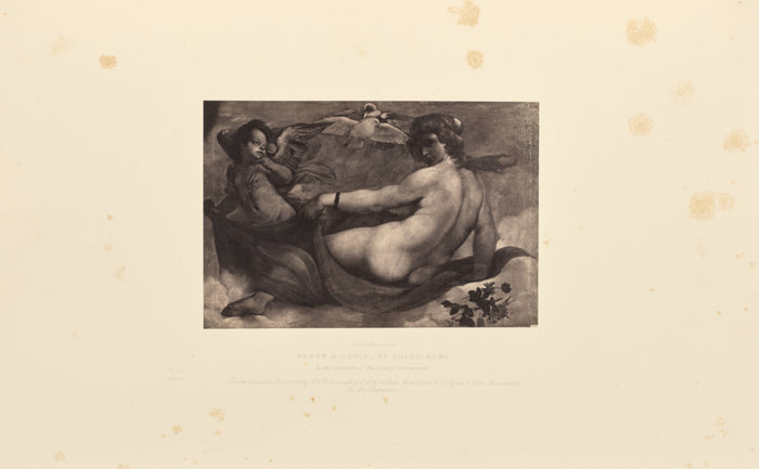 Caldesi & Montecchi:Venus and Cupid, by Guido Reni,16x12