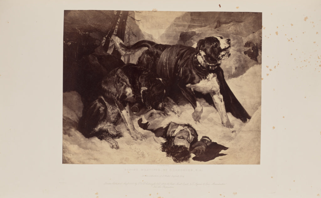 Robert Howlett:Alpine Mastiffs, by E. Landseer, R.A., Poster Print Wall Art