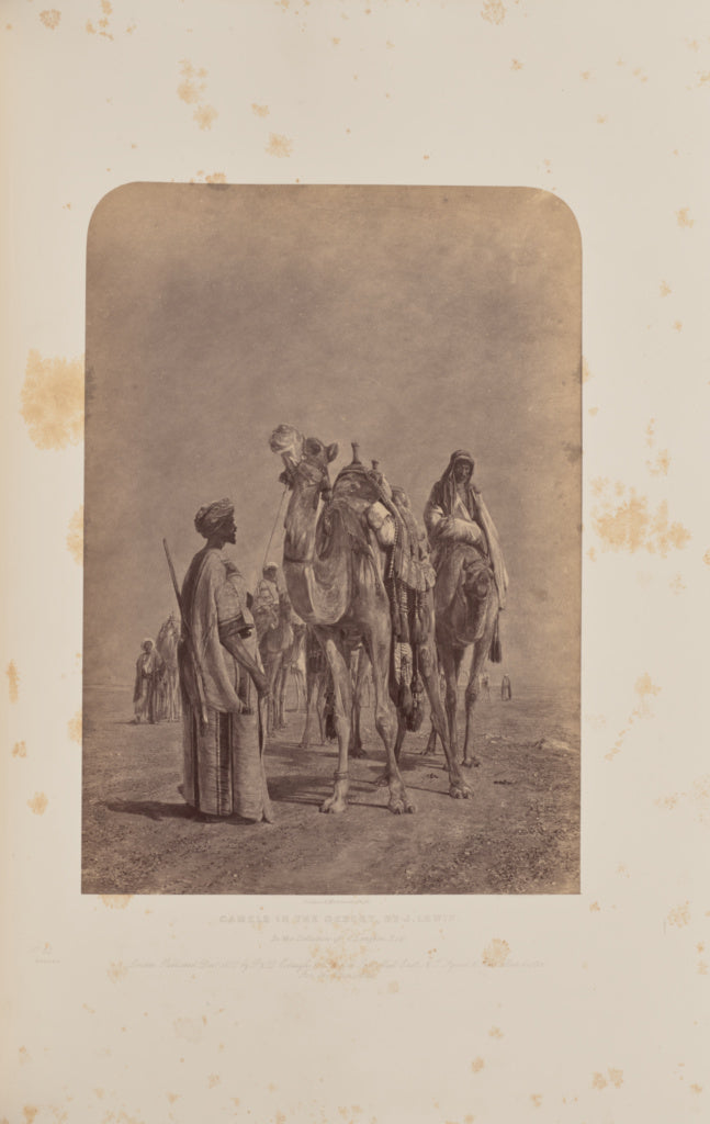 Caldesi & Montecchi:Camels in the Desert, by J. Lewis, Poster Print Wall Art
