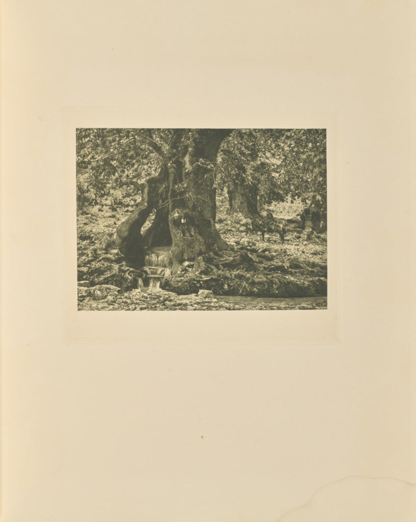 Frédéric Boissonnas:La source de Platania, Poster Print Wall Art