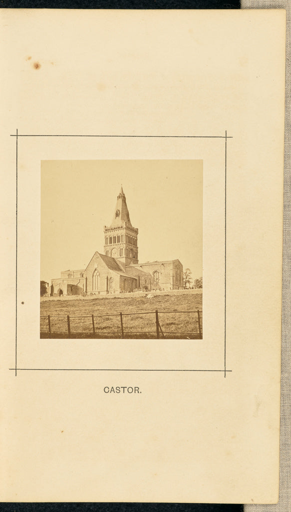 William Ball:Castor, Poster Print Wall Art