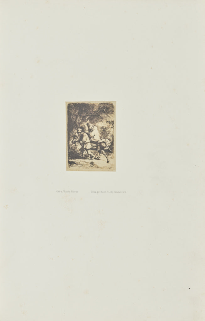Bisson Frères:[The flight into Egypt: small plate], Poster Print Wall Art