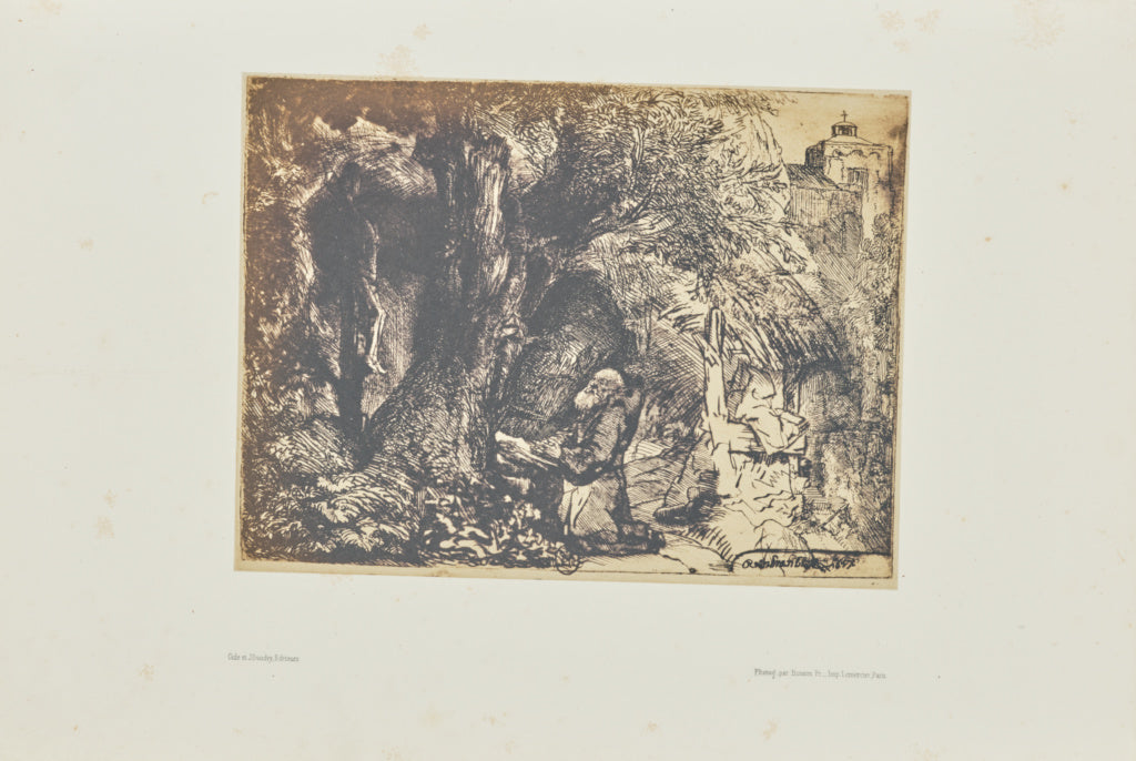 Bisson Frères:[Saint Francis praying beneath a tree], Poster Print Wall Art