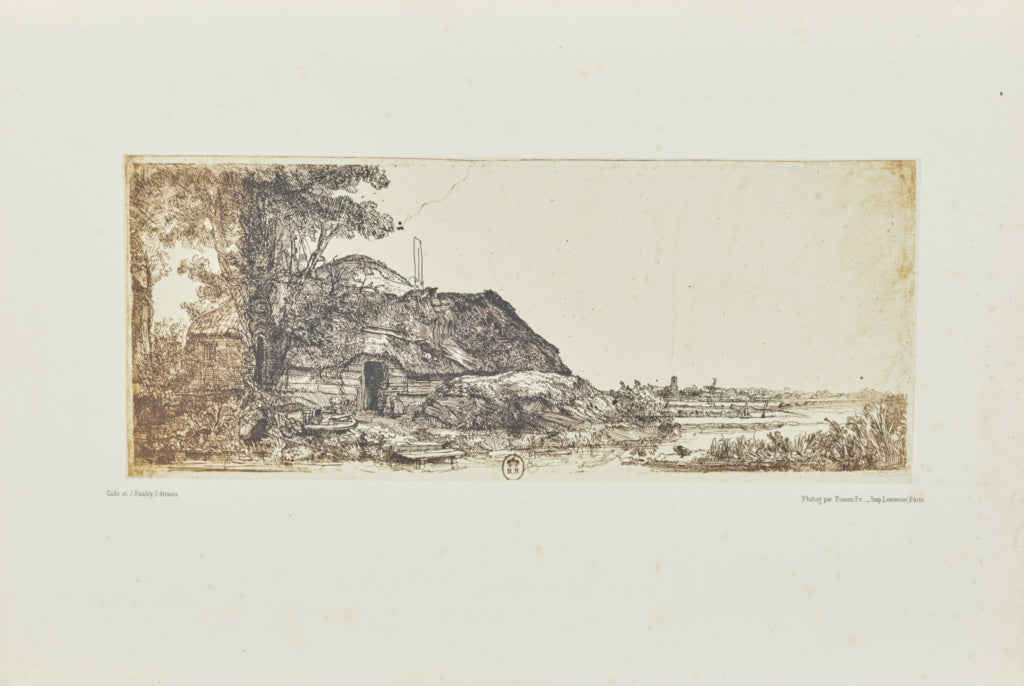 Bisson Frères:[Landscape with a cottage and a large tree], Poster Print Wall Art