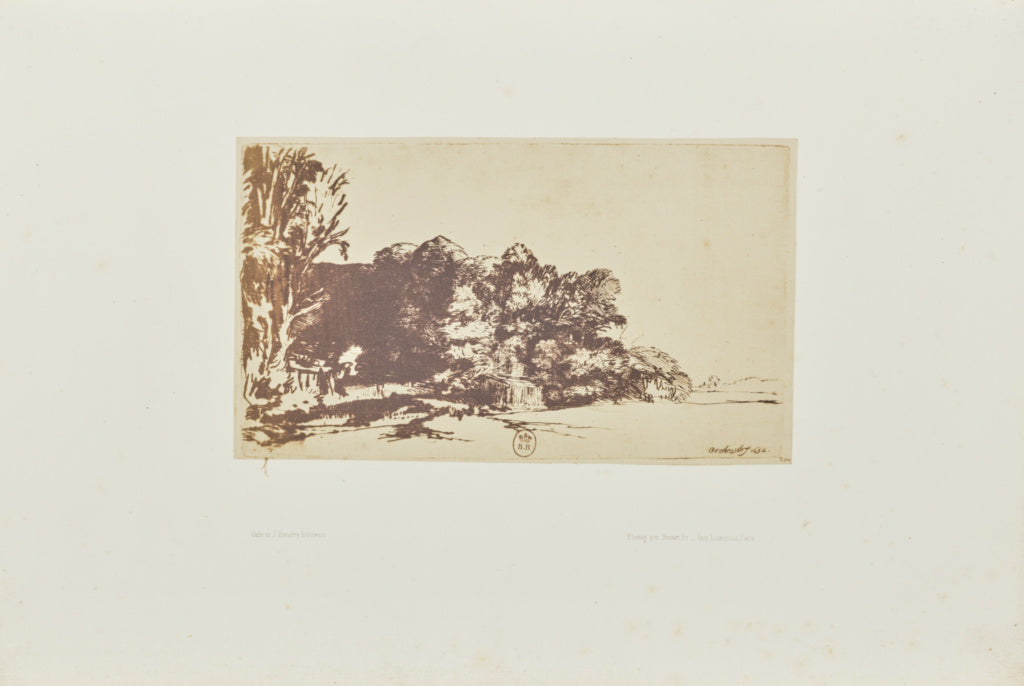 Bisson Frères:[Clump of trees with a vista], Poster Print Wall Art
