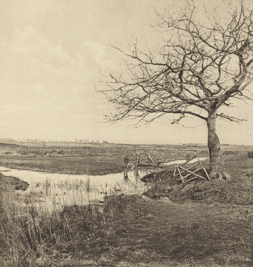 Peter Henry Emerson:Leafless March. [Suffolk.], Poster Print Wall Art