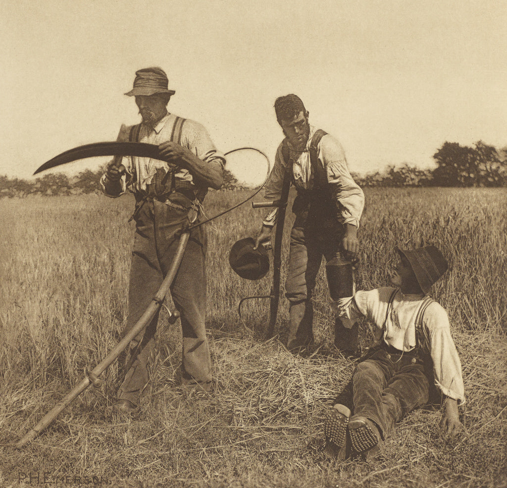 Peter Henry Emerson:In the Barley-Harvest. [Suffolk.], Poster Print Wall Art