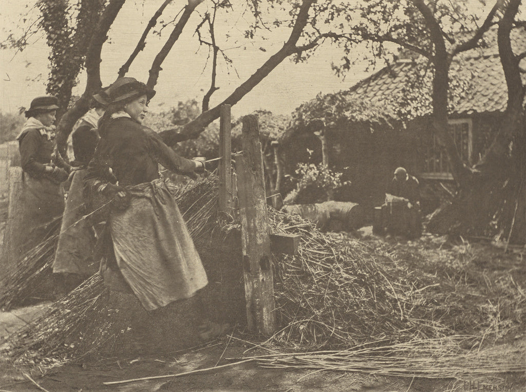 Peter Henry Emerson:Osier=Peeling. [Norfolk.], Poster Print Wall Art