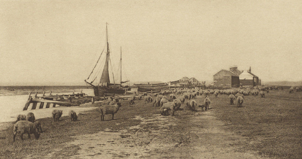 Peter Henry Emerson:Blackshore, River Bylthe. [Suffolk.], Poster Print Wall Art