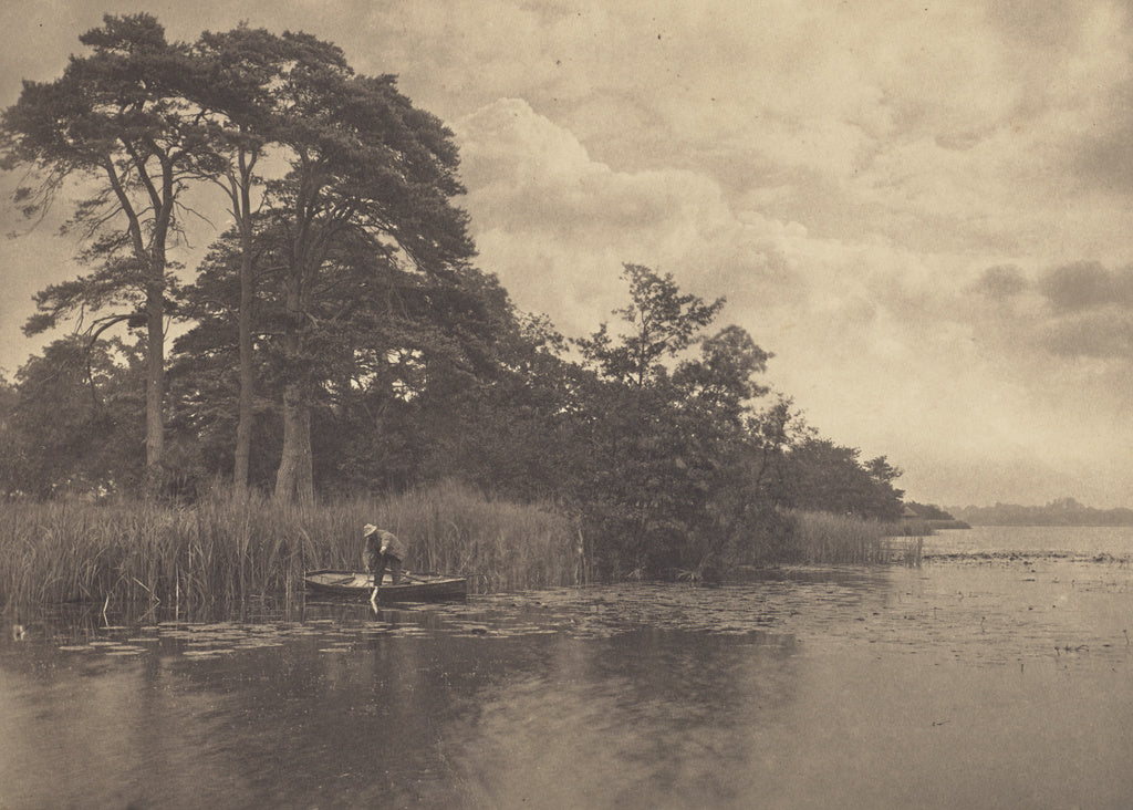 Peter Henry Emerson:The Haunt of the Pike, Poster Print Wall Art