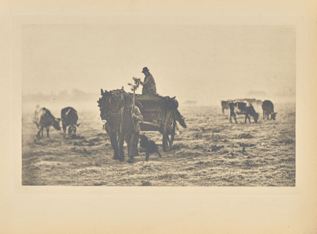 Peter Henry Emerson:[A Frosty Morning], Poster Print Wall Art