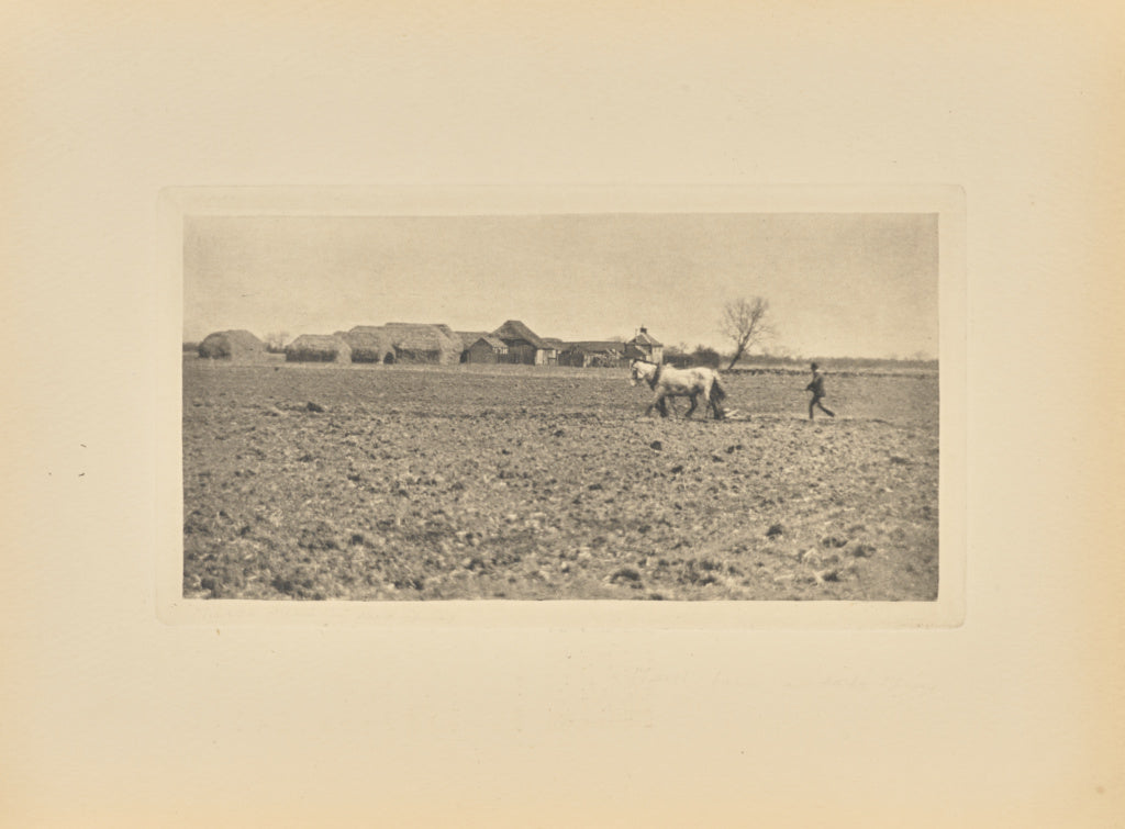 Peter Henry Emerson:[Marsh Farm in Early Spring], Poster Print Wall Art