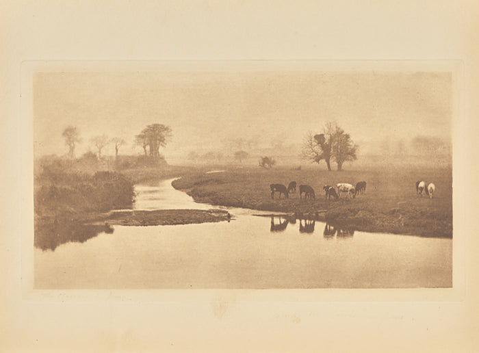 Peter Henry Emerson:[Sheep on the Marshes],16x12