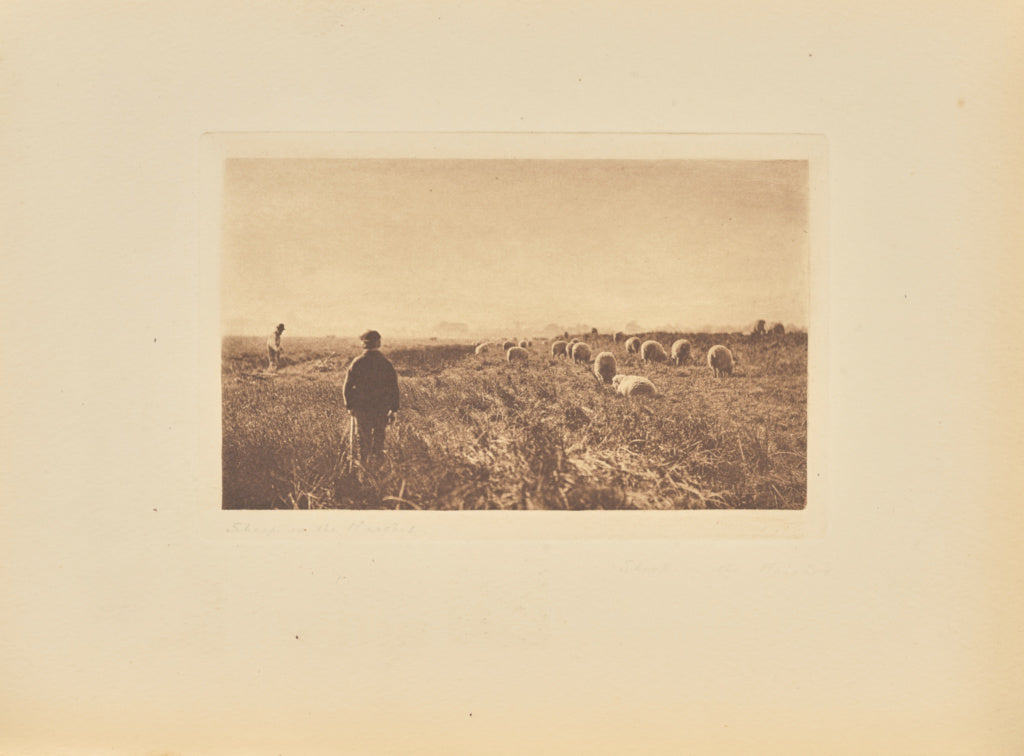 Peter Henry Emerson:[The Marshes in June], Poster Print Wall Art