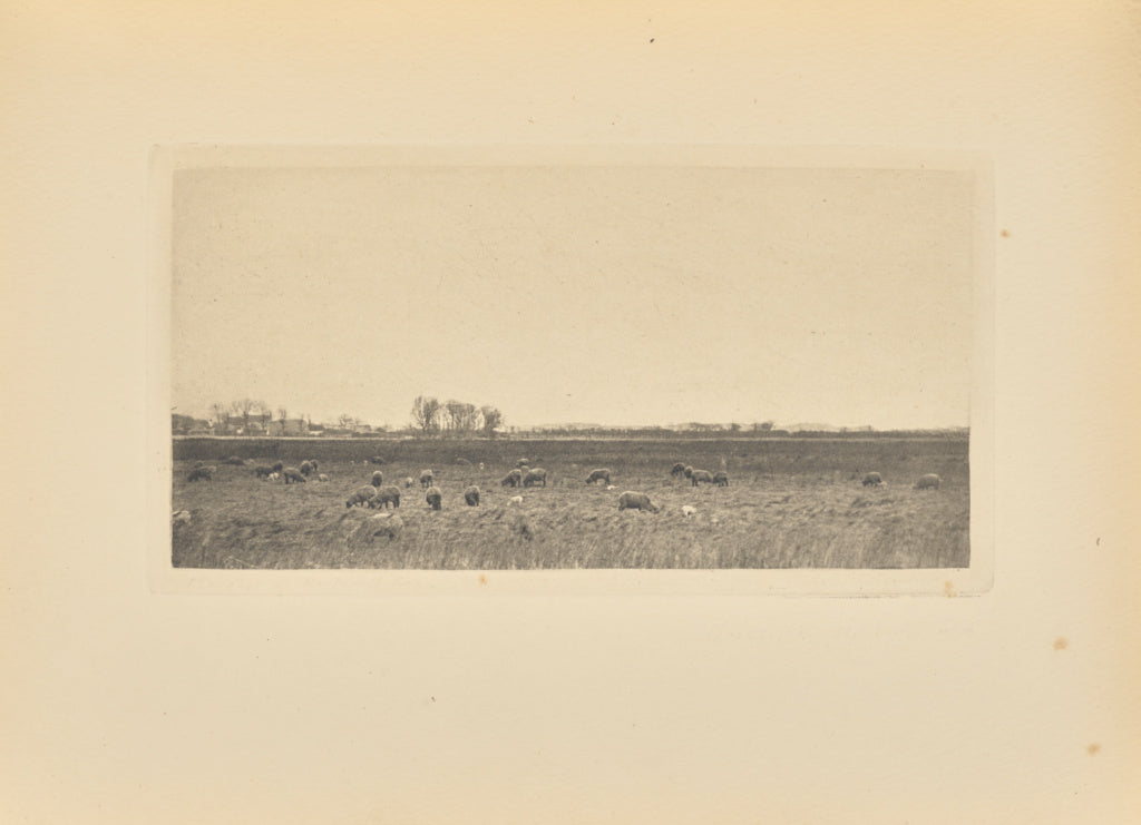 Peter Henry Emerson:[Marshes By the North Sea], Poster Print Wall Art