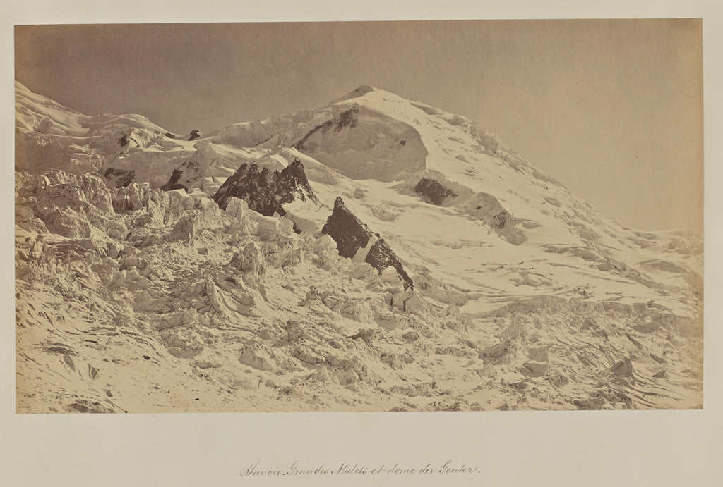 Bisson Frères:Savoie. Grandes (sic) Mulets et dome dir (sic, Poster Print Wall Art