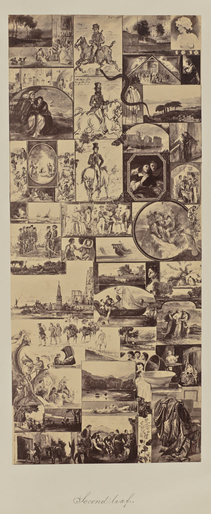 Unknown:Second leaf., Poster Print Wall Art