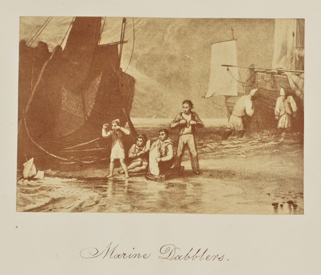 Caroline Bertolacci:Marine Dabblers., Poster Print Wall Art