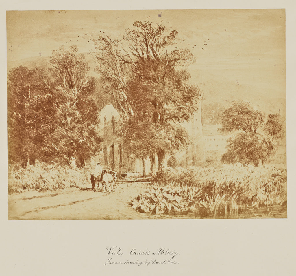 Unknown:Vale. Crucis Abbey. From a drawing by David Cox., Poster Print Wall Art