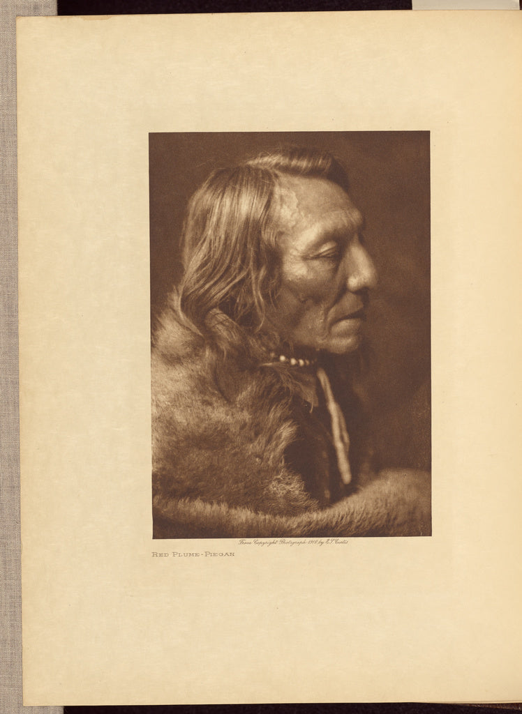Edward S. Curtis:Red Plume - Piegan, Poster Print Wall Art