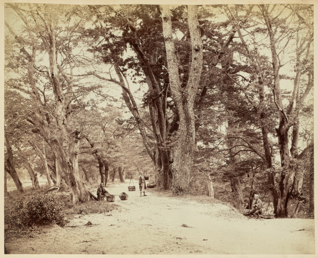 Felice BeatoAttributed to:[Japanese Country Village Road wit, Poster Print Wall Art