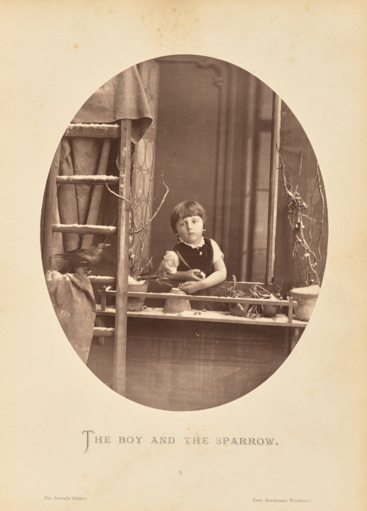 Friedrich Bruckmann:The boy and the sparrow, Poster Print Wall Art
