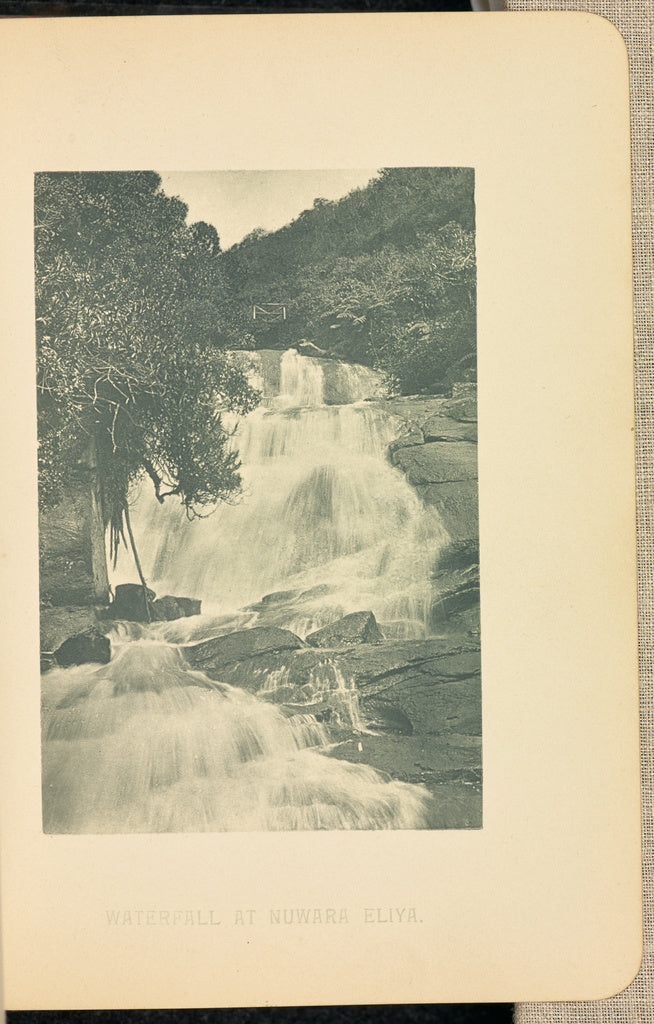 Henry W. Cave:Waterfall at Nuwara Eliya, Poster Print Wall Art