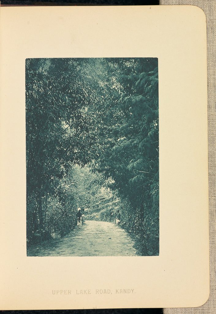 Henry W. Cave:Upper Lake Road, Kandy, Poster Print Wall Art