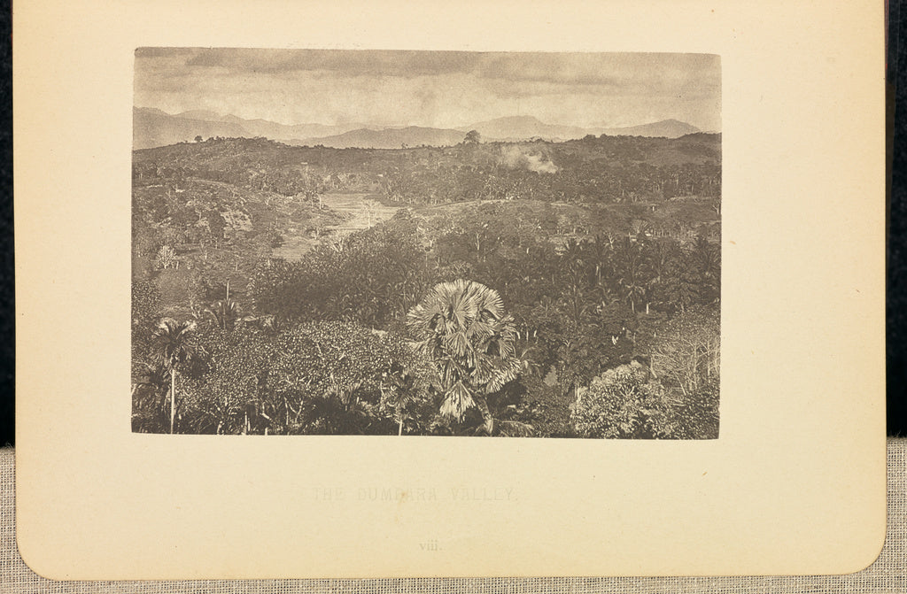 Henry W. Cave:The Dumbara Valley, Poster Print Wall Art