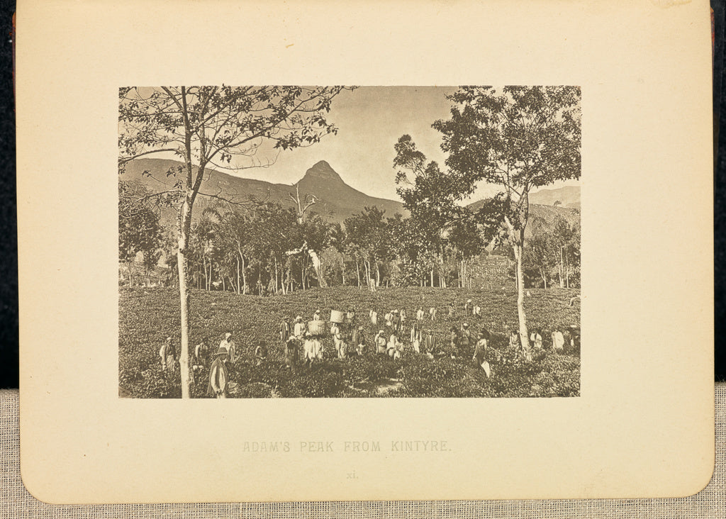 Henry W. Cave:Adam's Peak, from Kintyre, Poster Print Wall Art