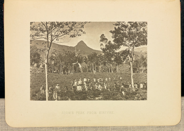 Henry W. Cave:Adam's Peak, from Kintyre,16x12