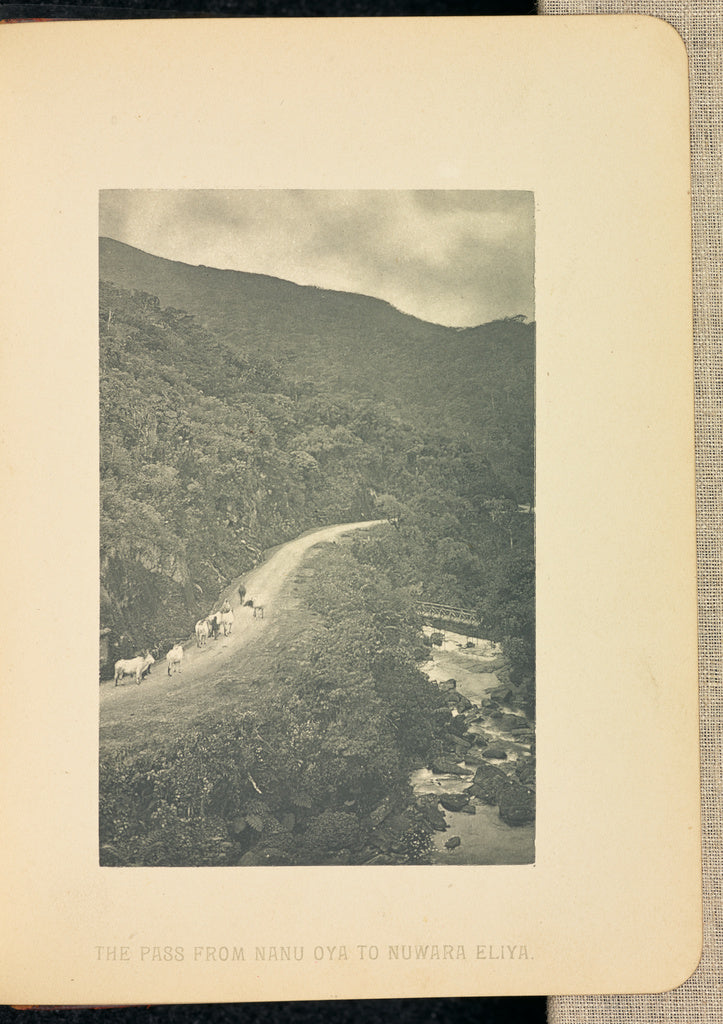Henry W. Cave:The Pass from Nanu Oya to Nuwara Eliya, Poster Print Wall Art