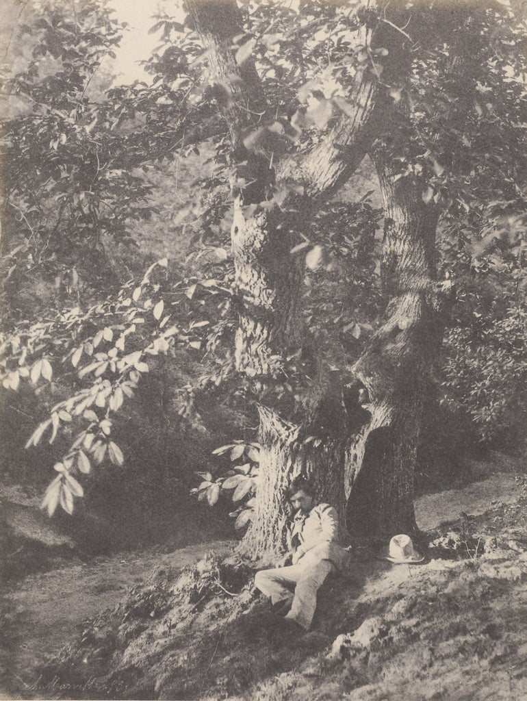 Charles Marville:[Young Man Resting Beneath a Horse-Chestnut,16x12"(A3)Poster