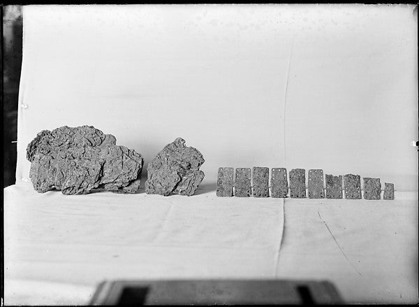 Armor Fragments of Scales from a Cuirass possibly 8th cent,  Poster Print Wall Art