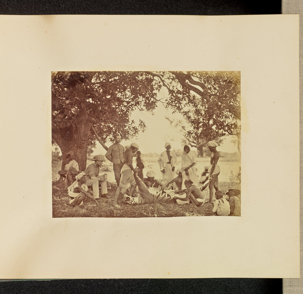 Willoughby Wallace Hooper:[Skinning a Tiger], Poster Print Wall Art